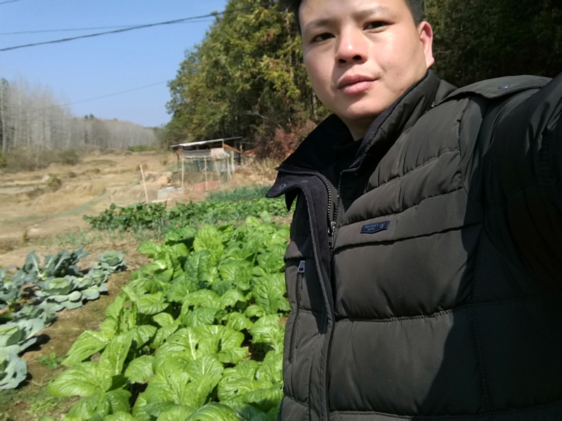 倔强的驴的第一张照片--霞浦相亲网