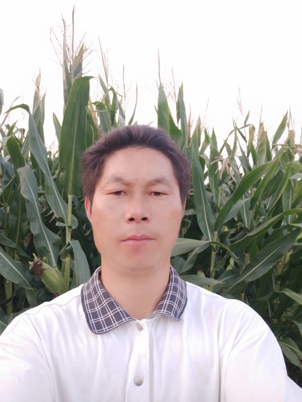 四海游龙的第一张照片--霞浦相亲网