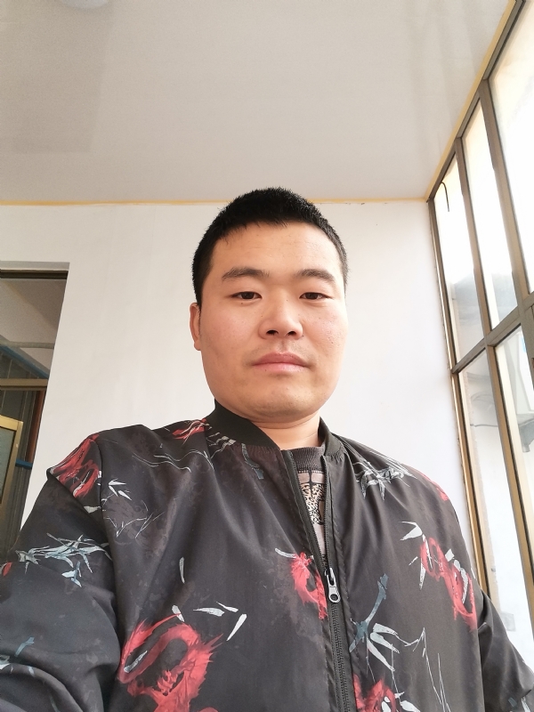 会飞的猪的第一张照片--霞浦相亲网