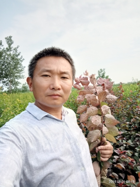 孩子爸的第二张照片--霞浦相亲网