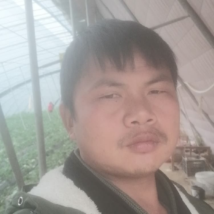孤狼‘的第一张照片--霞浦相亲网