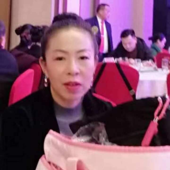 中秋桂花玉兔的第四张照片--霞浦相亲网