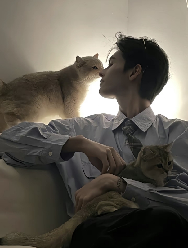 怪猫的第一张照片--霞浦相亲网