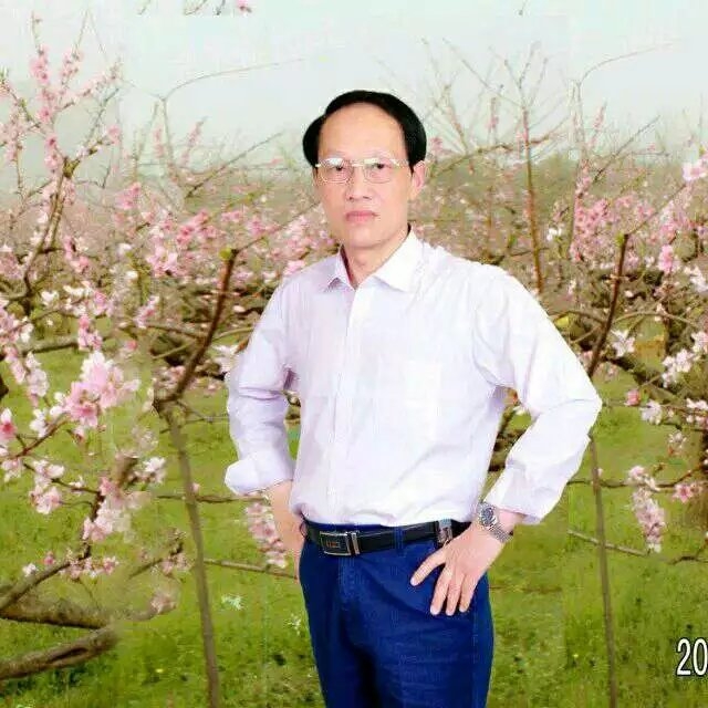 枫叶的第一张照片--霞浦相亲网